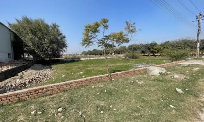 WhatsApp-Image-2025-08-28-at-1.24.04-PM